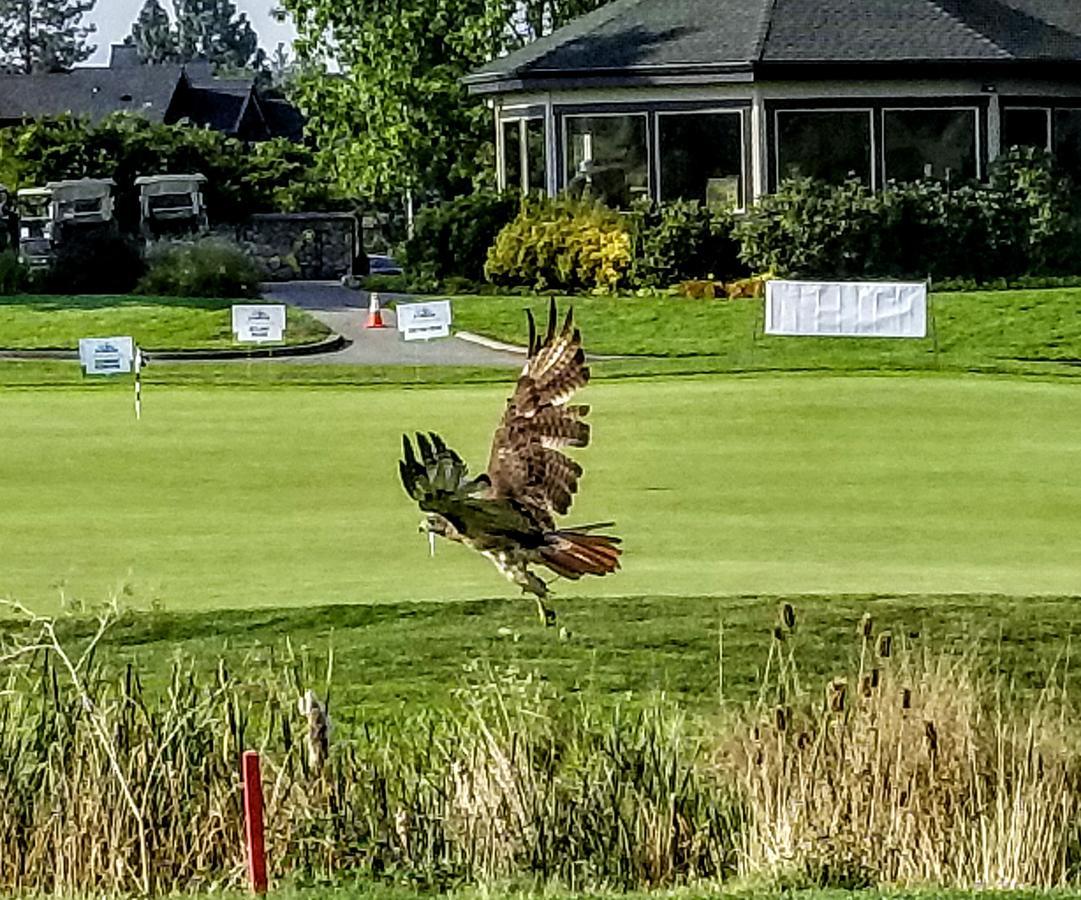 Resort At Eagle Point Golf Club Lodging Medford Exteriér fotografie