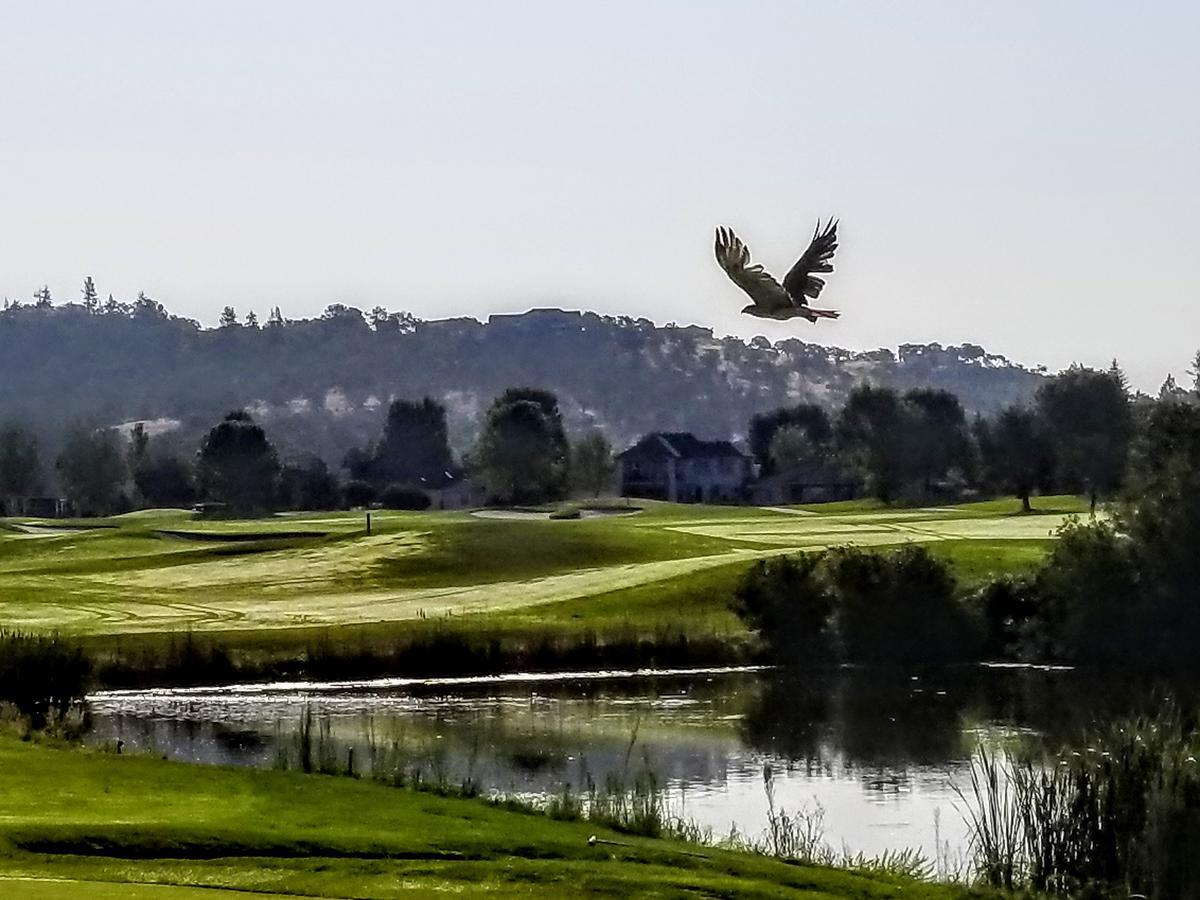 Resort At Eagle Point Golf Club Lodging Medford Exteriér fotografie