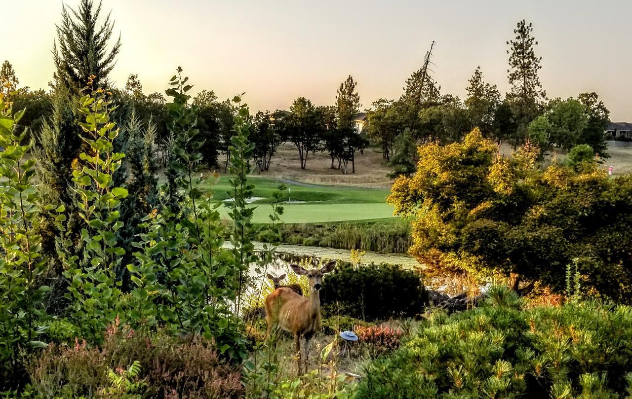 Resort At Eagle Point Golf Club Lodging Exteriér fotografie