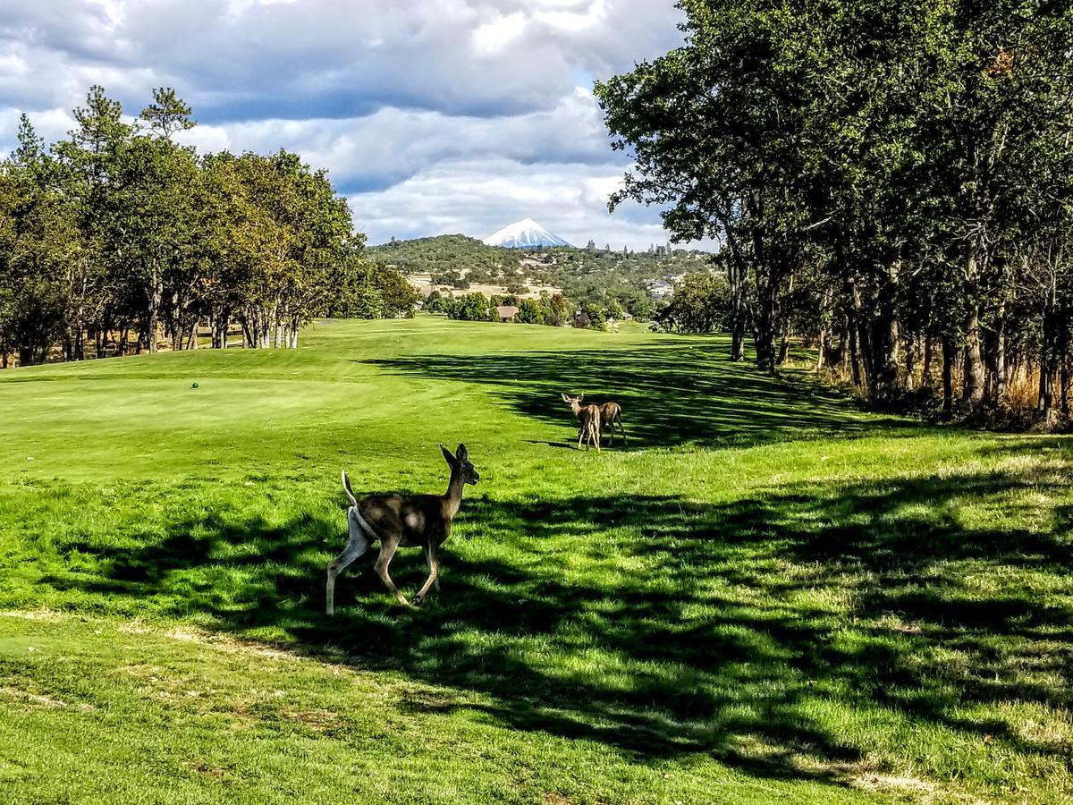 Resort At Eagle Point Golf Club Lodging Medford Exteriér fotografie