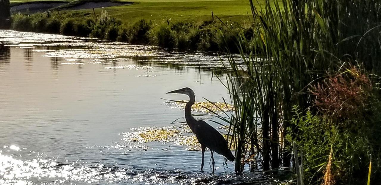 Resort At Eagle Point Golf Club Lodging Medford Exteriér fotografie